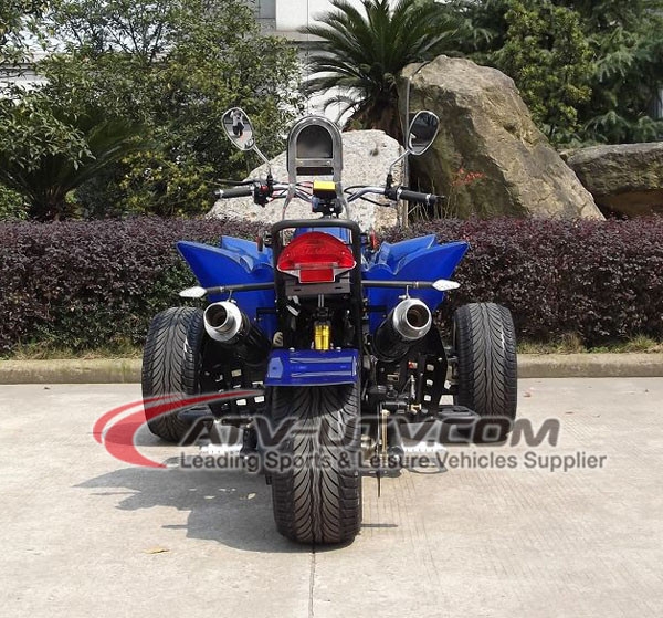 250CC Water Cooled ATV NEW Quad Bike from Wiztem With Chain Drive Reverse Gear